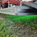 Die Behandlung der Gerstenpflanzen mit UV-C-Licht gehört zu den Forschungsaufgaben.